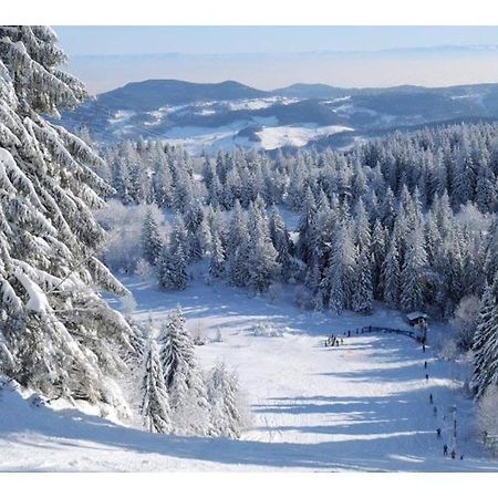 Chic T3 60 M2 Cosy 1 A 6 Personnes Rando, Nature, Bike Park, Station De Ski Le Bonhomme Exterior photo